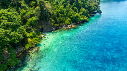 Aerial view of the dark green forest and the sea. Natural ecosystems of forests and oceans. concept of natural forest conservation