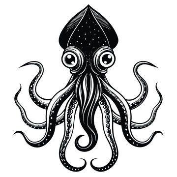 squid Black and white vector illustration animal silhouette 
