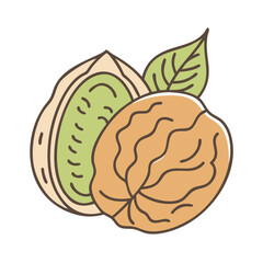 walnut icon, walnut vector illustration-simple illustration of walnut, perfect for walnut logos and icons