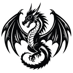  dragon Black and white vector illustration animal silhouette 