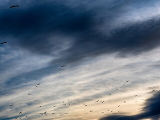 Fototapeta premium Wolkenhimmel am Abend