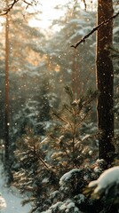 Enchanting Golden Hour in a Snowy Forest