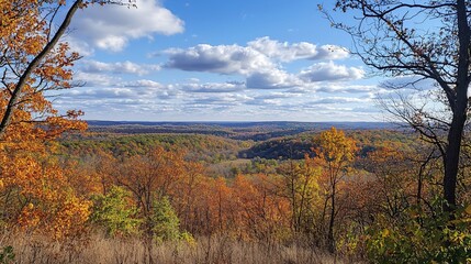 Obraz premium Scenic autumn landscape showcasing vibrant orange foliage and rolling hills under a blue sky