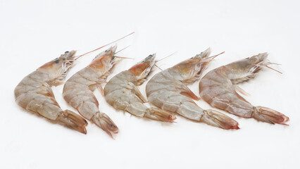 fresh shrimp with isolated white background
