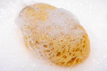 body loofah isolated