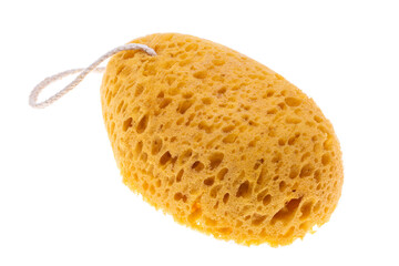 body loofah isolated