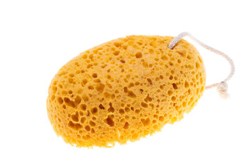 body loofah isolated