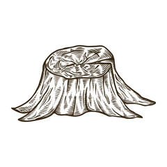 tree trunk illustration design graphic sketch, hand drawn