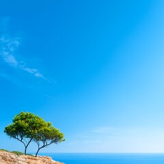 Obraz premium Serene Coastal Landscape with Lush Tree and Tranquil Blue Waters