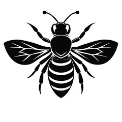  bee Black and white vector illustration animal silhouette 