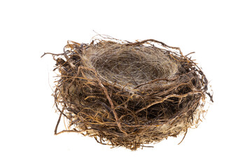 bird nest isolated