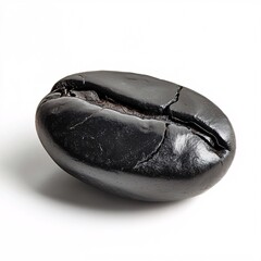 Single Dark Coffee Bean Isolated on a White Background