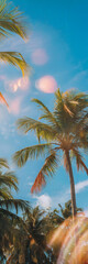 Fototapeta premium 眩い太陽を反射し 夏の青空に映り込むレンズフレアの光の効果とヤシの木、コピースペースあり
