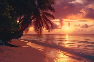 Obraz premium Beach outdoors tropical horizon.