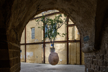 Small orange, hanging tree in an earthenware pot elevated off the ground and suspended by metal...