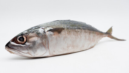 Raw fresh  Mackerel fish or ikan kembung and ingredients ,Fresh seafood concept.