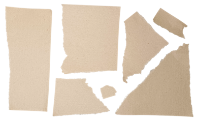 Brown Scrapbook Paper Scraps Set 