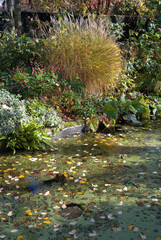 Les Jardins de Castillon, Plantbessin, Castillon, 14, Calvados, France