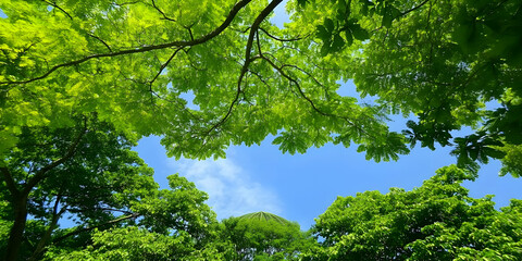 Lush Green Trees Frame a Clear Blue Sky with Wispy Clouds and a Green Dome Structure.