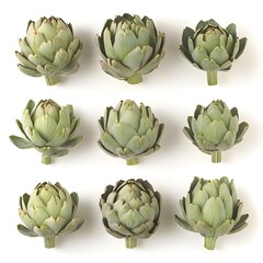 Obraz premium artichokes isolated on white background