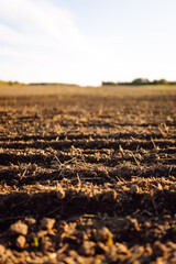 Black soil prepared for planting crop. Dirt soil ground in farm. Rich harvest concept. Agricultural background. Concept of farming.