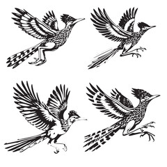 4 SET OF BLACK High-Quality Vector Silhouette of a Flying Greater Roadrunner on White Background