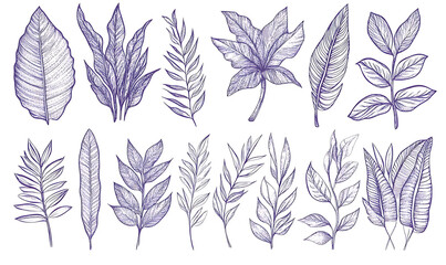 Flowers and leaves in pictures illustrator2D