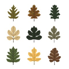 set of leaves