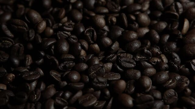 footage of coffee seed background

