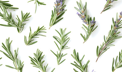 Flowers and leaves in pictures illustrator2D