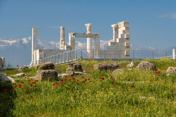 Fototapete bei efototapeten.de bestellen   