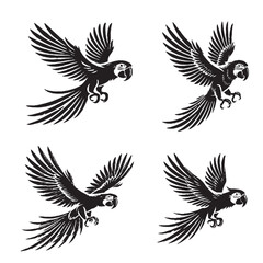 Detailed Vector OF the Green-winged Macaw Silhouette Isolated on White Background