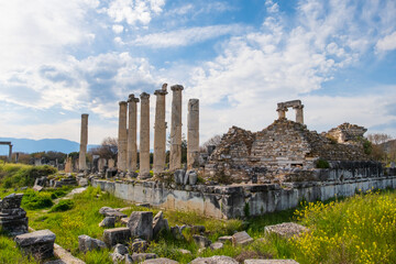 Fototapete bei efototapeten.de bestellen   