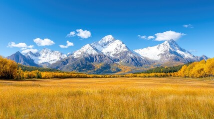 Fototapeta premium Autumnal mountain range vista, golden field, clear sky, travel postcard