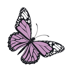 Colorful Butterfly Vector Style Illustration Clip Art