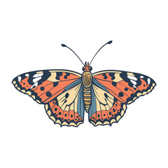 Colorful Butterfly Vector Style Illustration Clip Art
