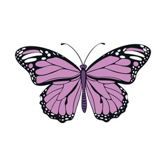 Colorful Butterfly Vector Style Illustration Clip Art
