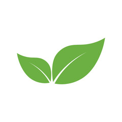Leaf Logo Icon Graphic Background Template