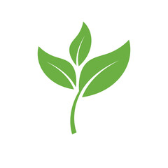 Leaf Logo Icon Graphic Background Template