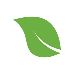 Leaf Logo Icon Graphic Background Template