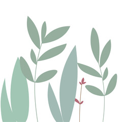 olive branch vector illustration