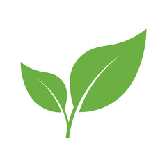 Leaf Logo Icon Graphic Background Template