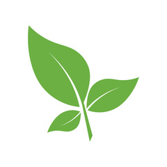 Leaf Logo Icon Graphic Background Template