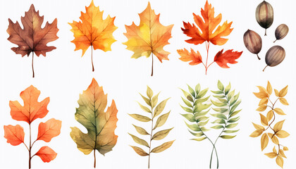 Obraz premium set of autumn leaves