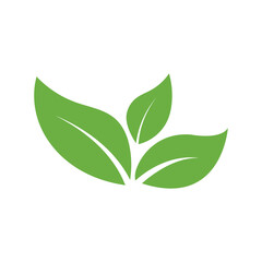 Leaf Logo Icon Graphic Background Template