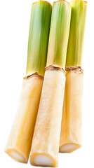 Obraz premium Three Sugarcane Stalks Stand Isolated on a White Background Showing the Fibrous Texture