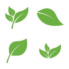 Leaf Logo Icon Graphic Background Template