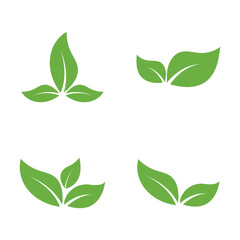 Leaf Logo Icon Graphic Background Template
