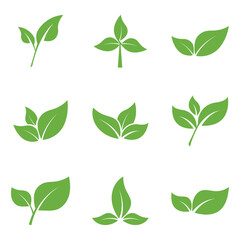 Leaf Logo Icon Graphic Background Template