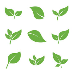 Leaf Logo Icon Graphic Background Template